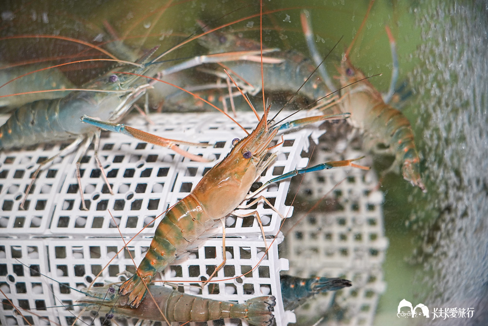 宜蘭串燒推薦|羅東人生百味串燒居酒屋菜單超多樣!親子聚餐釣蝦和評價 - 第50張圖