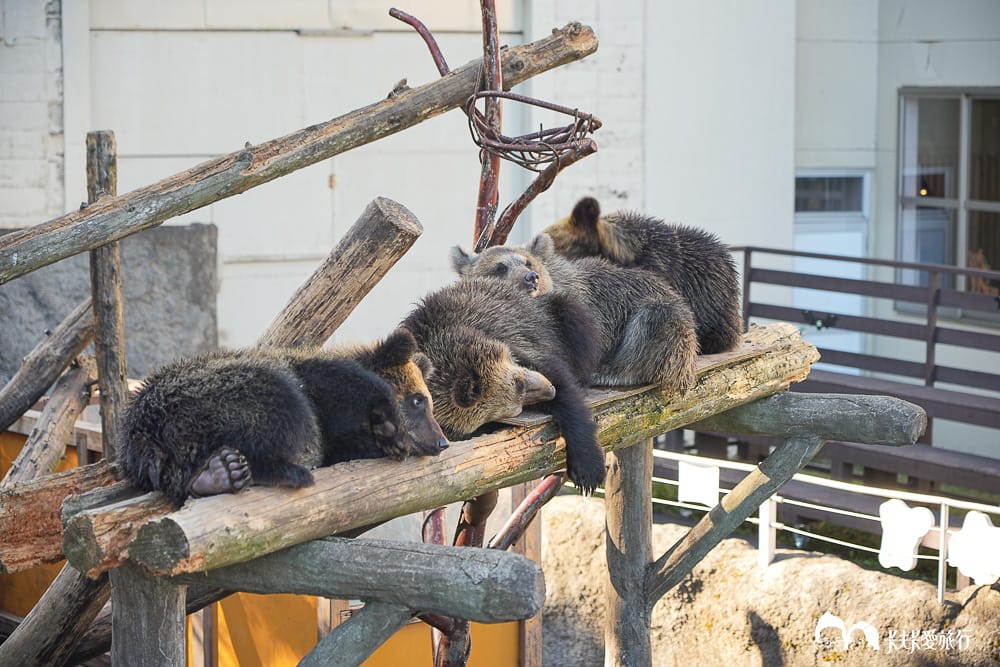 北海道包車推薦登別一日遊行程｜中文司機、機場接送美黛子遊日本心得評價