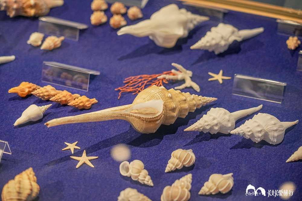 古宇利島海洋塔推薦嗎?必拍景點、遊園車班次、停車與門票價格全攻略 - 第25張圖 古宇利島海洋塔推薦嗎?必拍景點、遊園車班次、停車與門票價格全攻略