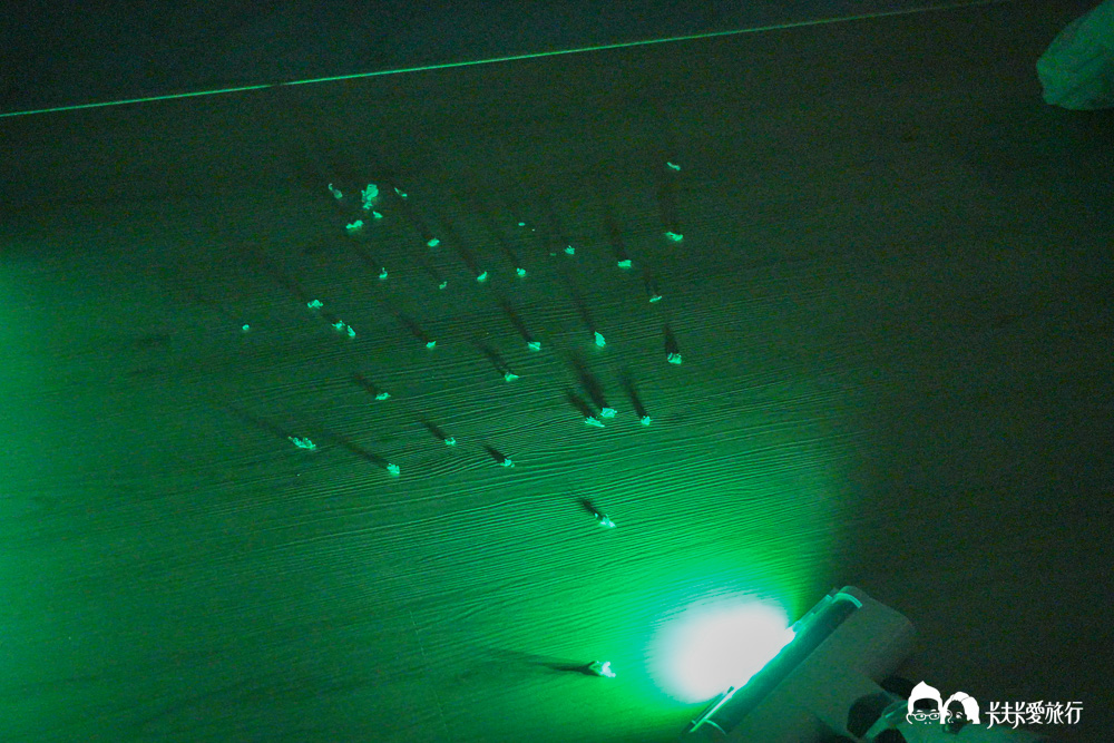 SANSUI山水「小白淨」集塵式吸塵器｜優缺點正負評價心得開箱