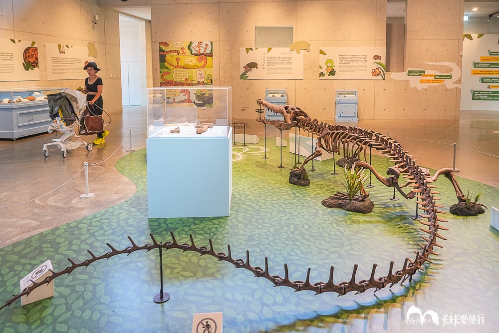 【台南景點】左鎮化石園區全攻略:五大展館開箱、交通票價與隱藏版打卡點及評論 - 第14張圖 【台南景點】左鎮化石園區全攻略:五大展館開箱、交通票價與隱藏版打卡點及評論