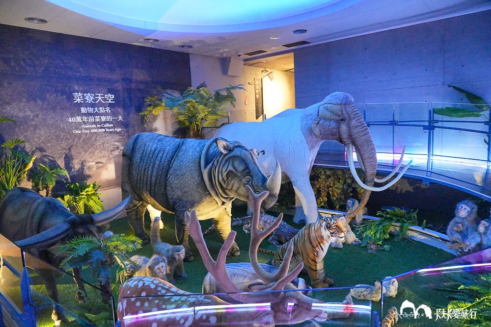 【台南景點】左鎮化石園區全攻略:五大展館開箱、交通票價與隱藏版打卡點及評論 - 第27張圖 【台南景點】左鎮化石園區全攻略:五大展館開箱、交通票價與隱藏版打卡點及評論