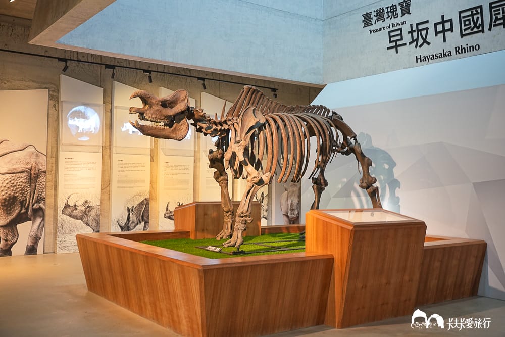 【台南景點】左鎮化石園區全攻略:五大展館開箱、交通票價與隱藏版打卡點及評論 - 第28張圖 【台南景點】左鎮化石園區全攻略:五大展館開箱、交通票價與隱藏版打卡點及評論