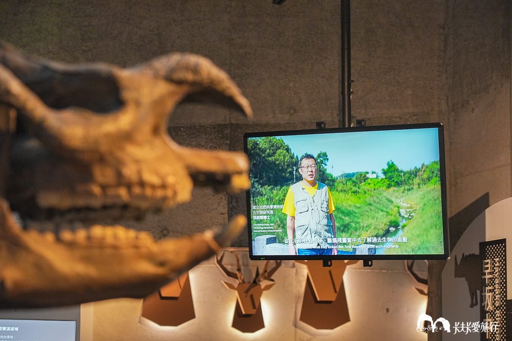 【台南景點】左鎮化石園區全攻略:五大展館開箱、交通票價與隱藏版打卡點及評論 - 第29張圖 【台南景點】左鎮化石園區全攻略:五大展館開箱、交通票價與隱藏版打卡點及評論