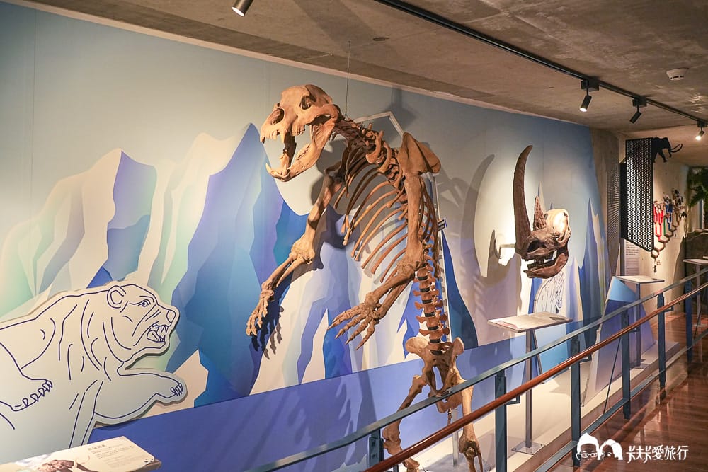 【台南景點】左鎮化石園區全攻略:五大展館開箱、交通票價與隱藏版打卡點及評論 - 第24張圖 【台南景點】左鎮化石園區全攻略:五大展館開箱、交通票價與隱藏版打卡點及評論