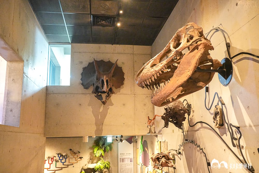 【台南景點】左鎮化石園區全攻略:五大展館開箱、交通票價與隱藏版打卡點及評論 - 第23張圖 【台南景點】左鎮化石園區全攻略:五大展館開箱、交通票價與隱藏版打卡點及評論