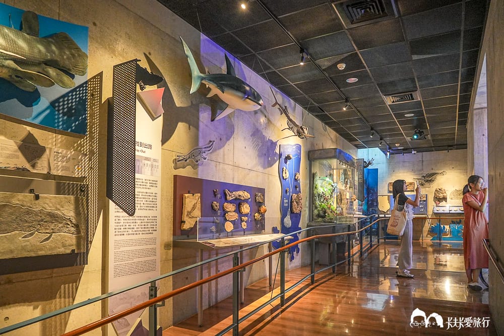 【台南景點】左鎮化石園區全攻略:五大展館開箱、交通票價與隱藏版打卡點及評論 - 第22張圖 【台南景點】左鎮化石園區全攻略:五大展館開箱、交通票價與隱藏版打卡點及評論