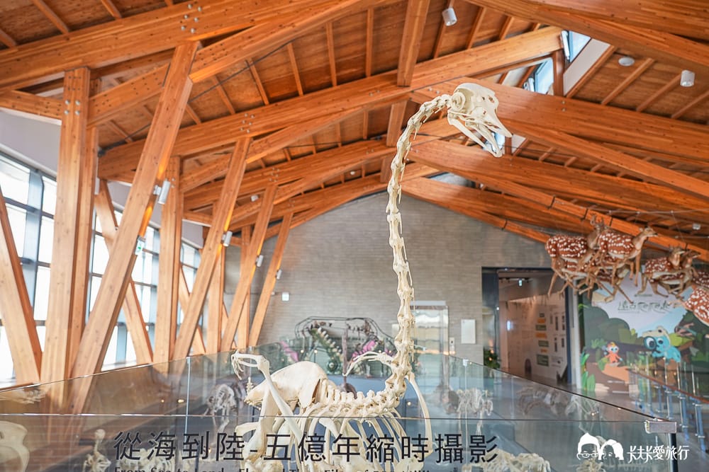 【台南景點】左鎮化石園區全攻略:五大展館開箱、交通票價與隱藏版打卡點及評論 - 第13張圖 【台南景點】左鎮化石園區全攻略:五大展館開箱、交通票價與隱藏版打卡點及評論