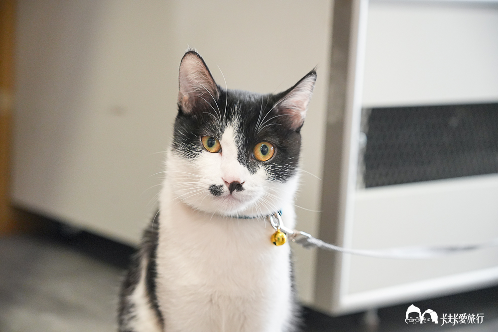 宜蘭早午餐推薦！在地人私藏「笑嗨嗨」創意台式早點＋露營氛圍超Chill菜單