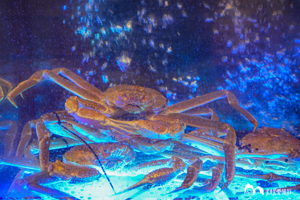 台北東區美食|逸壽司預約制無菜單!北海道活松葉蟹一蟹十吃,國父紀念館站頂級日料推薦 - 第65張圖 台北東區美食|逸壽司預約制無菜單!北海道活松葉蟹一蟹十吃,國父紀念館站頂級日料推薦