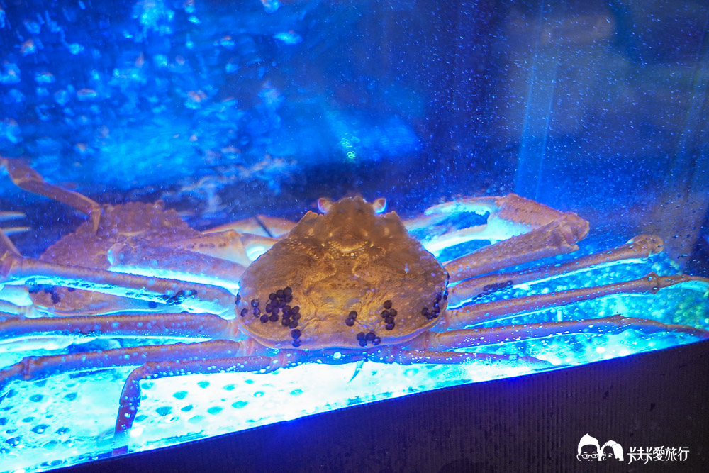 台北東區美食|逸壽司預約制無菜單!北海道活松葉蟹一蟹十吃,國父紀念館站頂級日料推薦 - 第56張圖 台北東區美食|逸壽司預約制無菜單!北海道活松葉蟹一蟹十吃,國父紀念館站頂級日料推薦