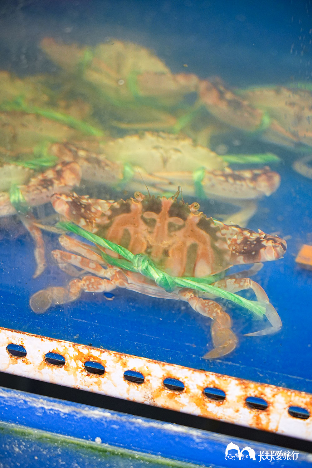 宜蘭頭城美食｜青雲80海鮮餐廳評價：在地推薦高CP值快炒烤魚菜單與停車