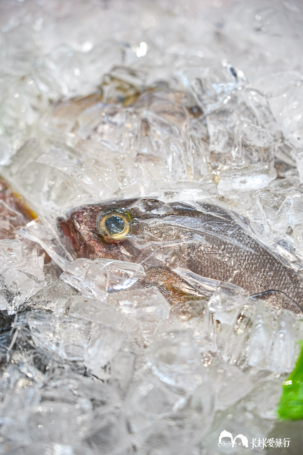 宜蘭頭城美食｜青雲80海鮮餐廳評價：在地推薦高CP值快炒烤魚菜單與停車