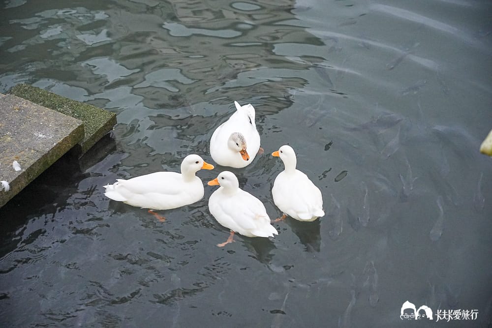 礁溪美食｜哈喇子酸菜魚：隱身林美山下高CP值合菜單點完整菜單