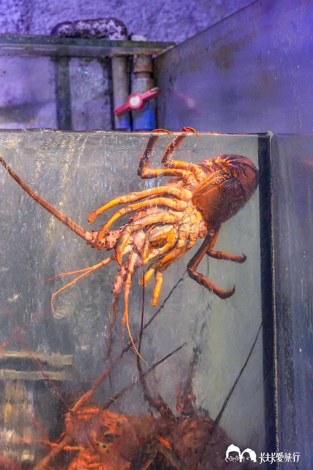 宜蘭頭城海鮮餐廳｜海饕四季主流宴：不一定要吃無菜單？內行人單點高CP值美食菜單！