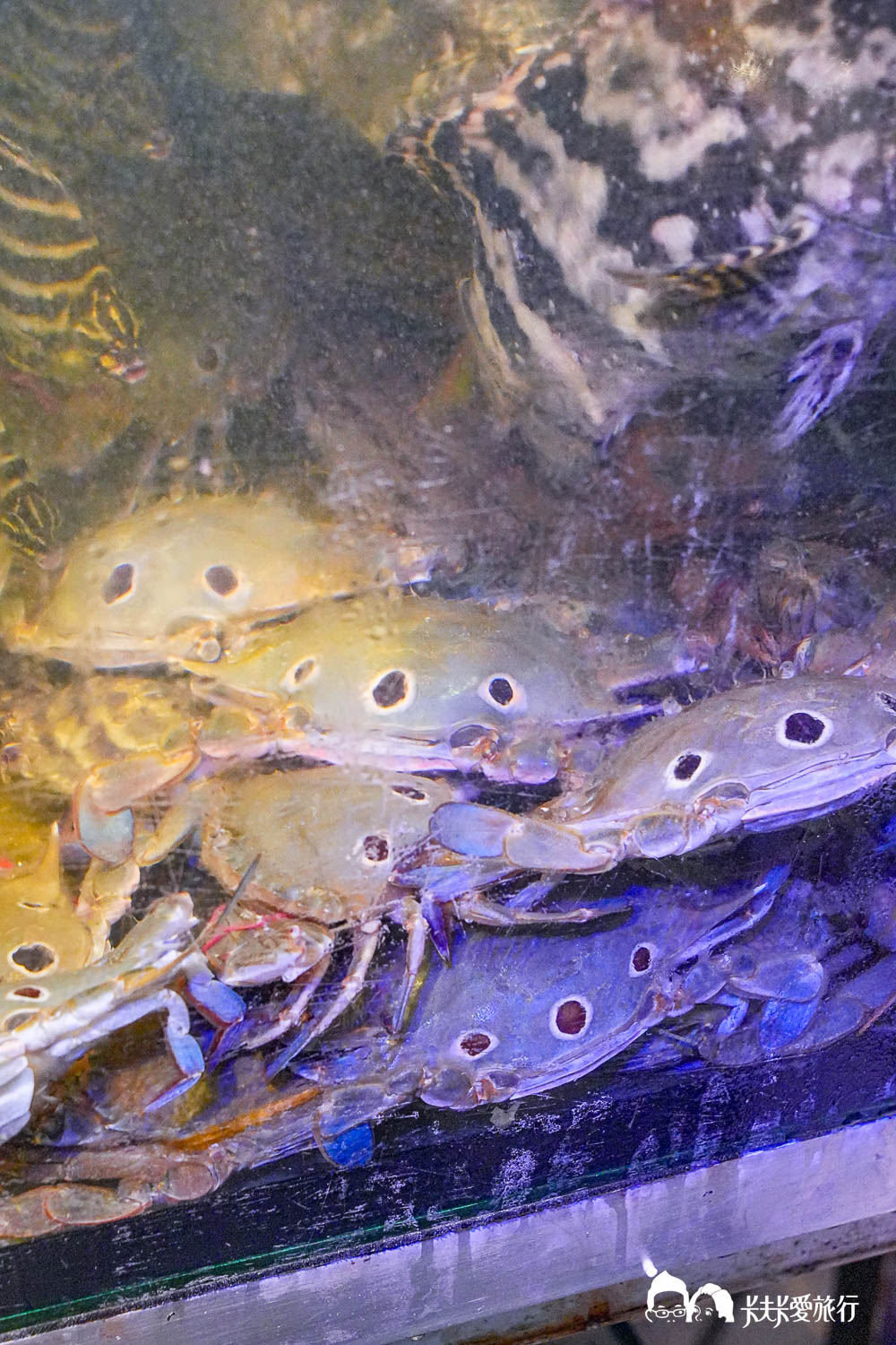 宜蘭頭城海鮮餐廳｜海饕四季主流宴：不一定要吃無菜單？內行人單點高CP值美食菜單！