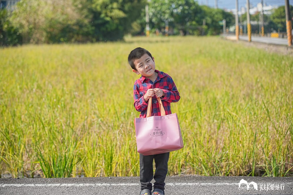 麥仕佳烘焙坊-過年送禮年節伴手禮推薦！干貝肉圓酥富貴禮盒開箱評價
