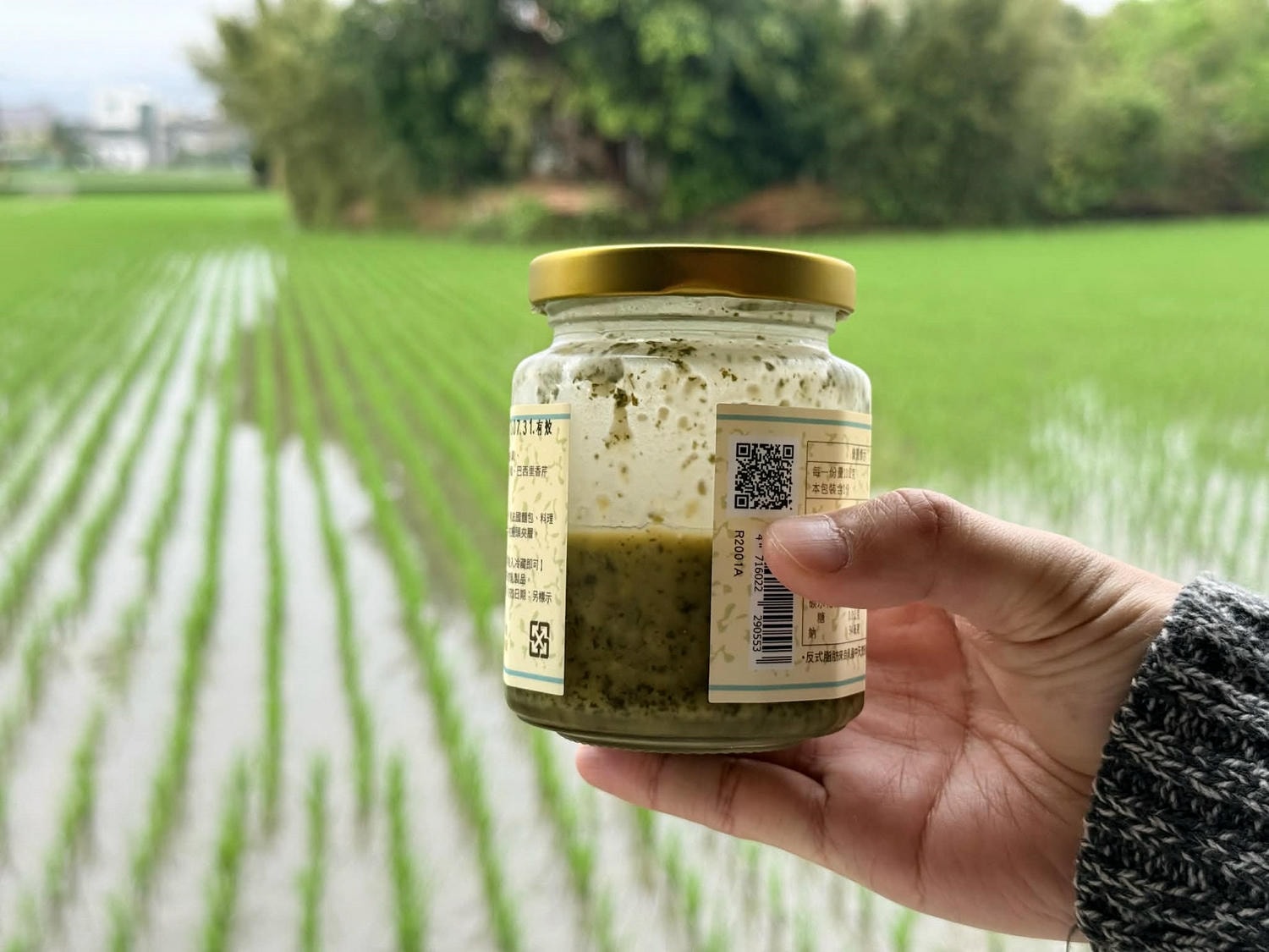 鄭記油蔥酥好吃嗎?3款萬用神醬真實評價、哪裡買與零失敗食譜 - 第51張圖 鄭記油蔥酥好吃嗎?3款萬用神醬真實評價、哪裡買與零失敗食譜
