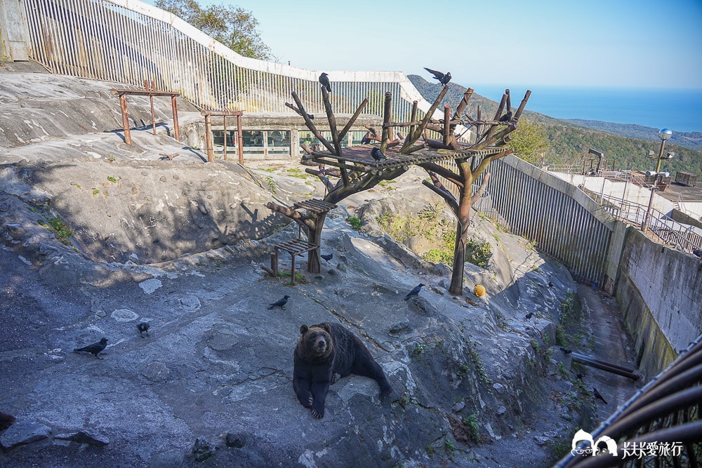 北海道親子景點推薦|登別熊牧場不只餵熊還能看絕美湖景!超實用玩樂指南 - 第30張圖 北海道親子景點推薦|登別熊牧場不只餵熊還能看絕美湖景!超實用玩樂指南