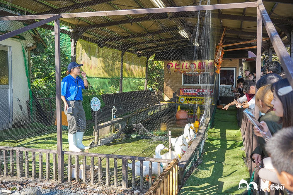北海道親子景點推薦|登別熊牧場不只餵熊還能看絕美湖景!超實用玩樂指南 - 第38張圖 北海道親子景點推薦|登別熊牧場不只餵熊還能看絕美湖景!超實用玩樂指南