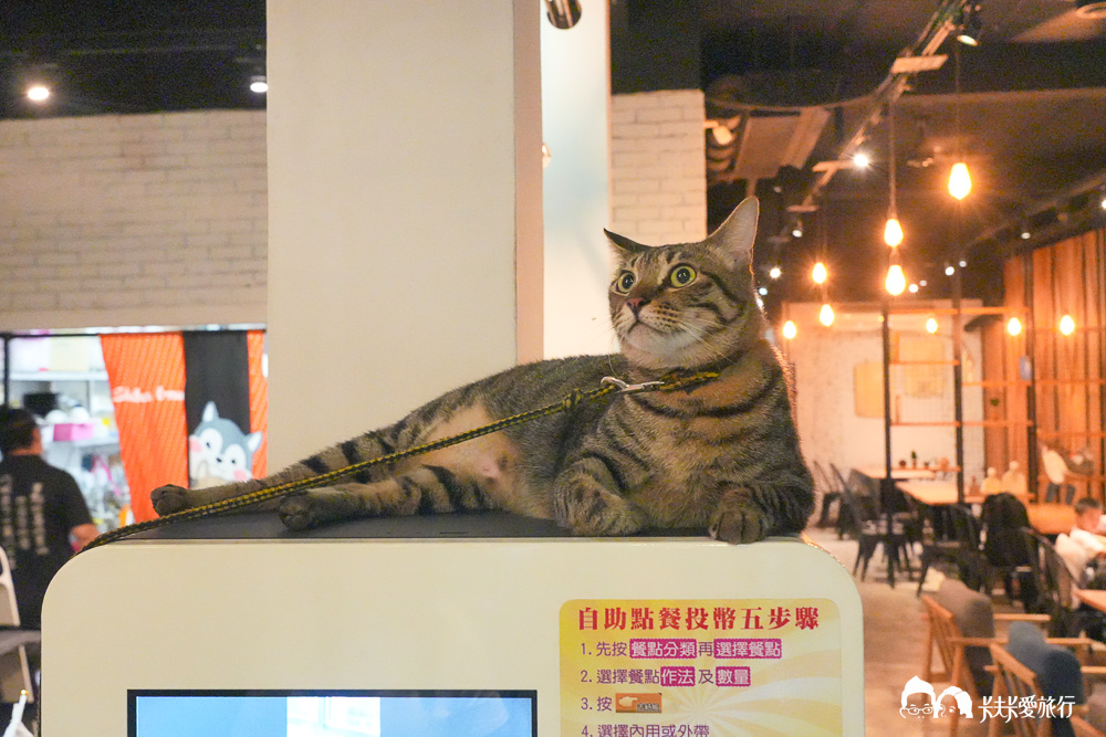 羅東宵夜酒吧｜貳貳壹零複合式宵夜，手打黑豬肉漢堡、現調調酒，深夜宵夜首選菜單