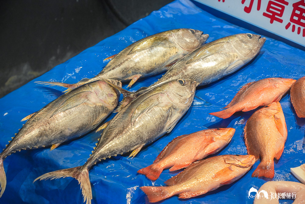 花蓮漁港親子一日遊全紀錄|多羅滿賞鯨+海洋垃圾撈拾+手打魚丸DIY一次收藏 - 第29張圖 花蓮漁港親子一日遊全紀錄|多羅滿賞鯨+海洋垃圾撈拾+手打魚丸DIY一次收藏