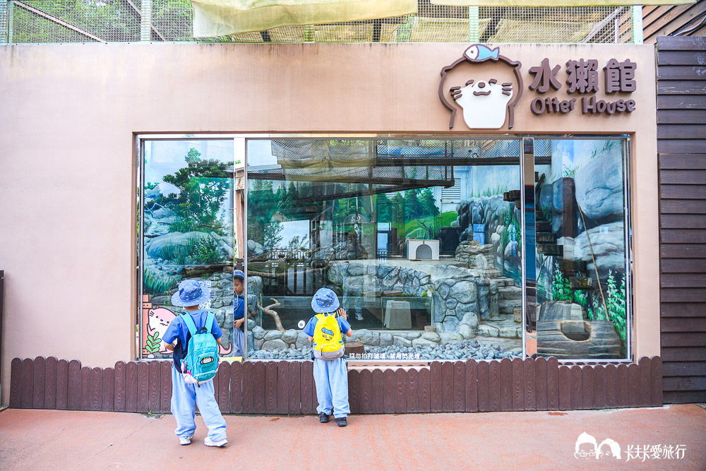 遠雄海洋公園好玩嗎?2026親子必玩攻略真實評價,門票交通全收錄 - 第38張圖 遠雄海洋公園好玩嗎?2026親子必玩攻略真實評價,門票交通全收錄