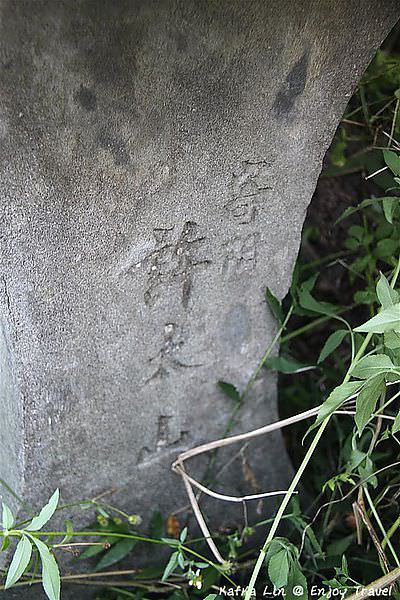 IMG_2068 (Medium)
