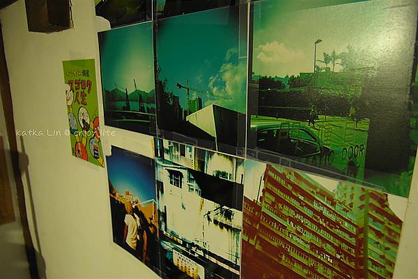 SAM_1685 (Large).JPG