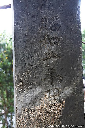 IMG_2049 (Medium)