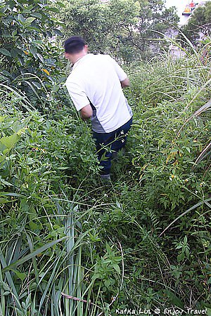 IMG_2033 (Medium)