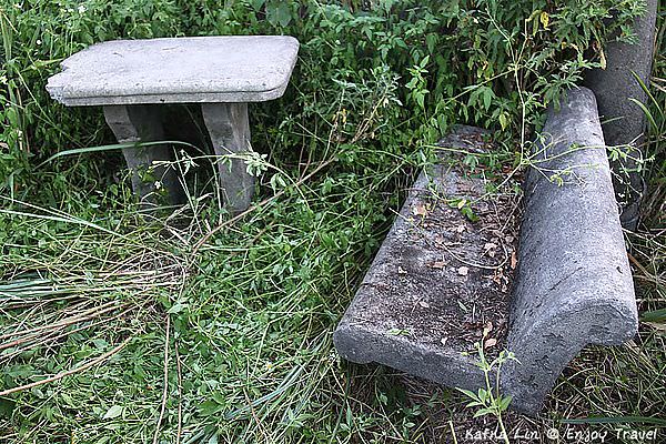 IMG_2073 (Medium)