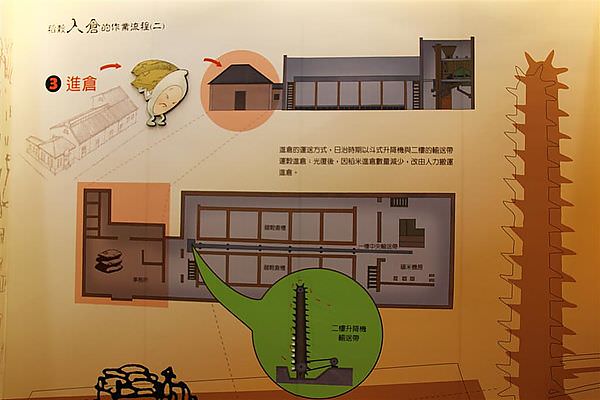 IMG_2617 (Large).JPG