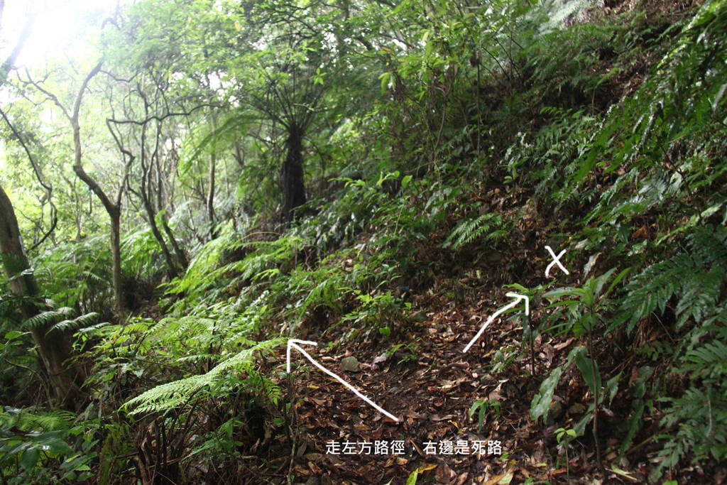 路徑圖