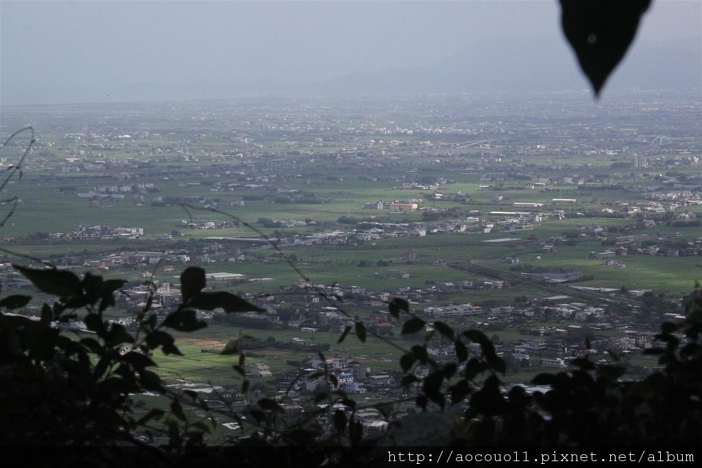 IMG_0467 (Large)