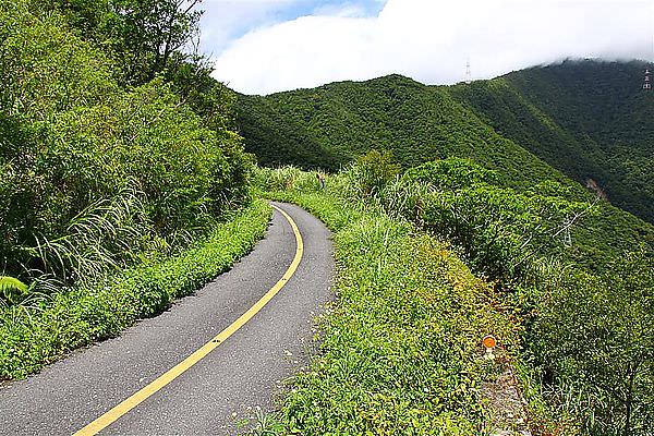 IMG_9187 (Large).JPG