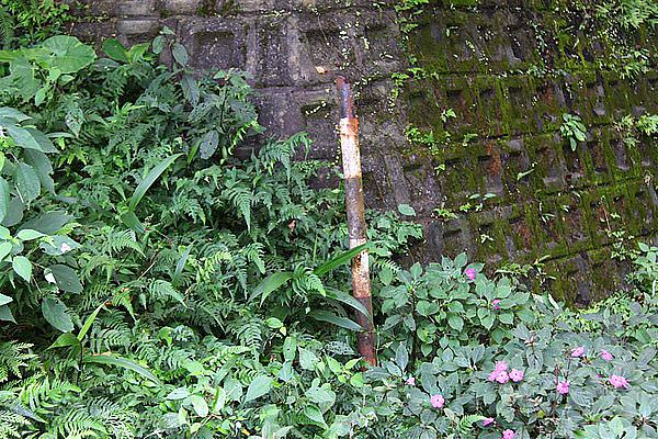 IMG_9128 (Large).JPG