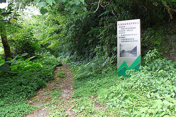 IMG_9090 (Large).JPG