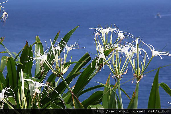 IMG_1305 (Large).JPG