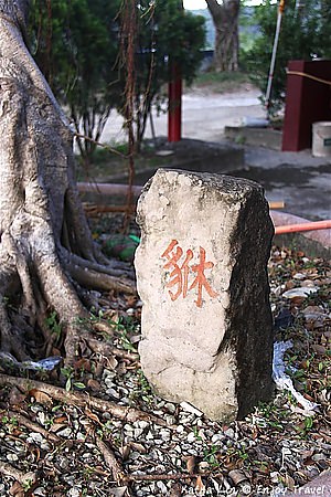 IMG_2023 (Medium)