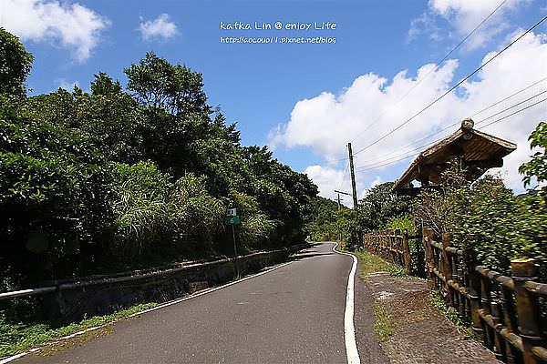 IMG_7341 (Large).JPG