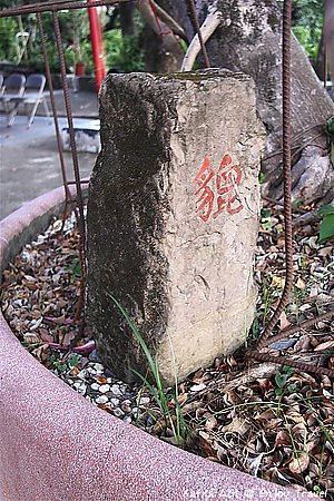 IMG_2027 (Medium)