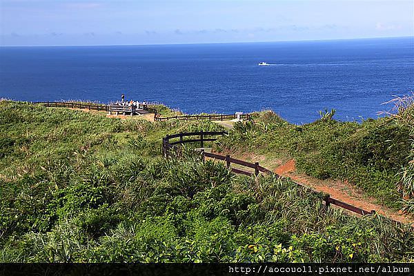IMG_1614 (Large).JPG