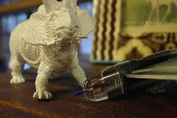 SAM_1707 (Large).JPG