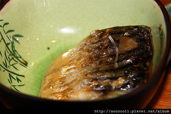 IMG_1906 (Large).JPG