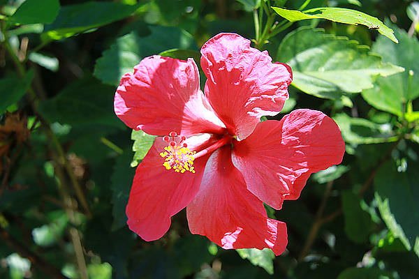 IMG_9815.JPG