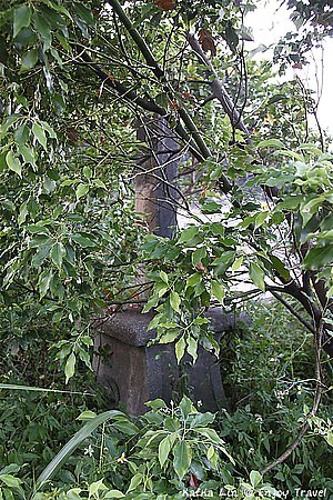 IMG_2060 (Medium)