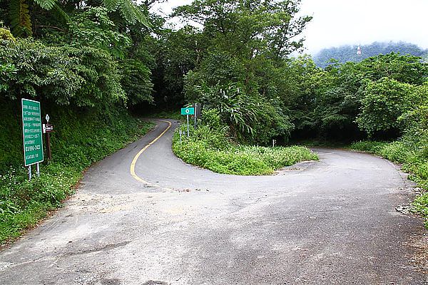 IMG_9084 (Large).JPG