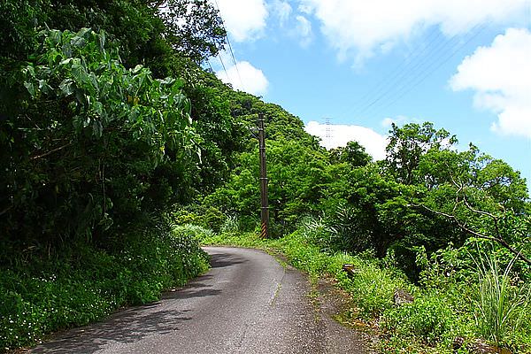 IMG_9275 (Large).JPG